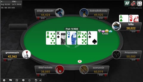 Die Partypoker Software